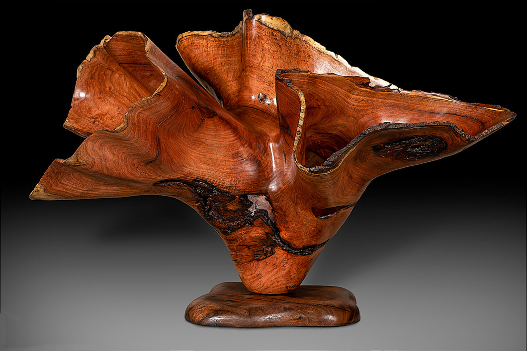 Discovery-Mesquite carved sculpture